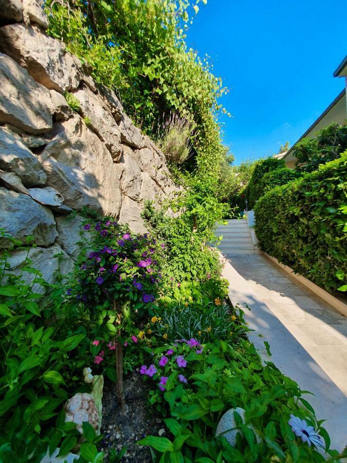 Apartmani Renata Brela Exterior foto